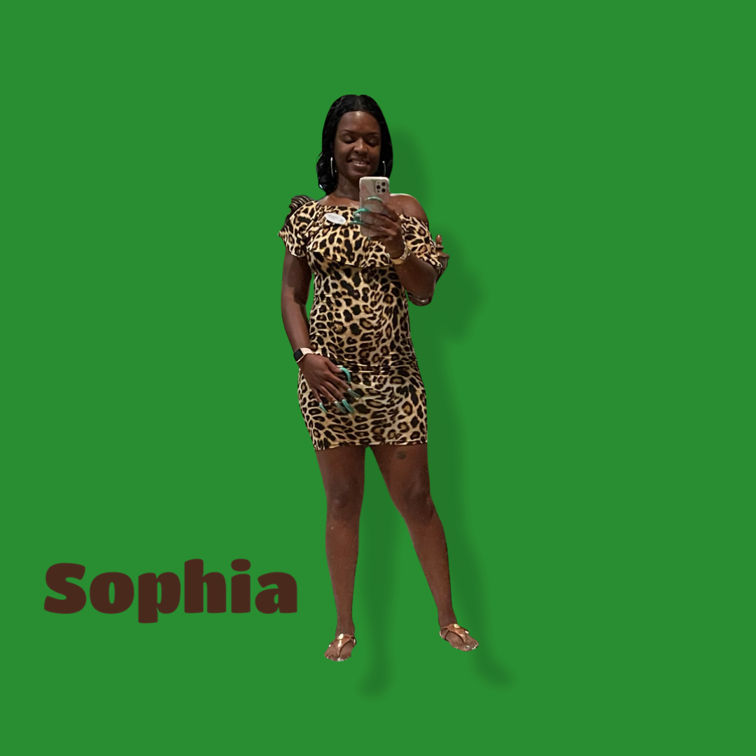 Sophia Off Shoulder Dress Leopard